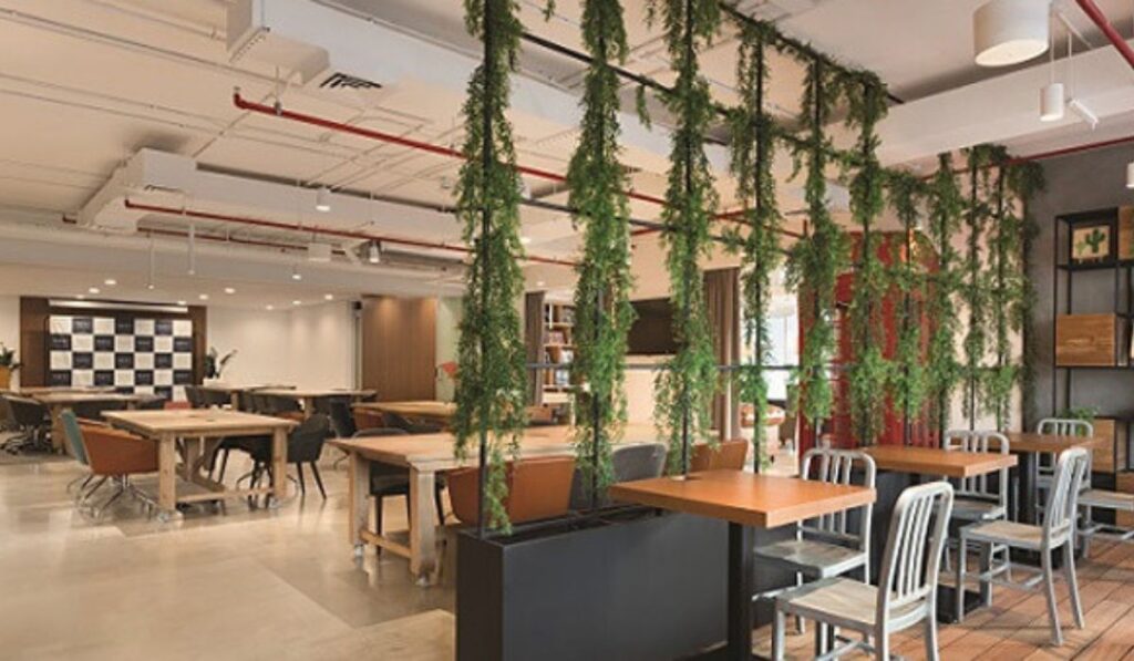Nest co-working space