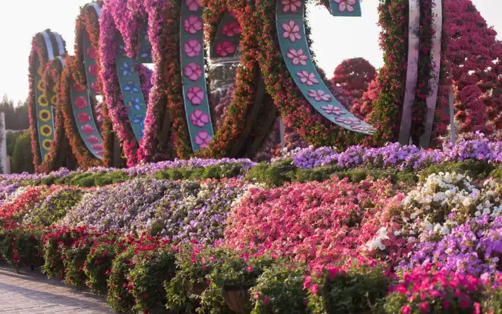 Miracle Garden Dubai - The Dubai Nomad
