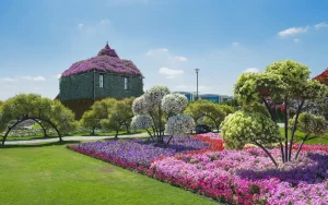 Miracle Garden Dubai - The Dubai Nomad