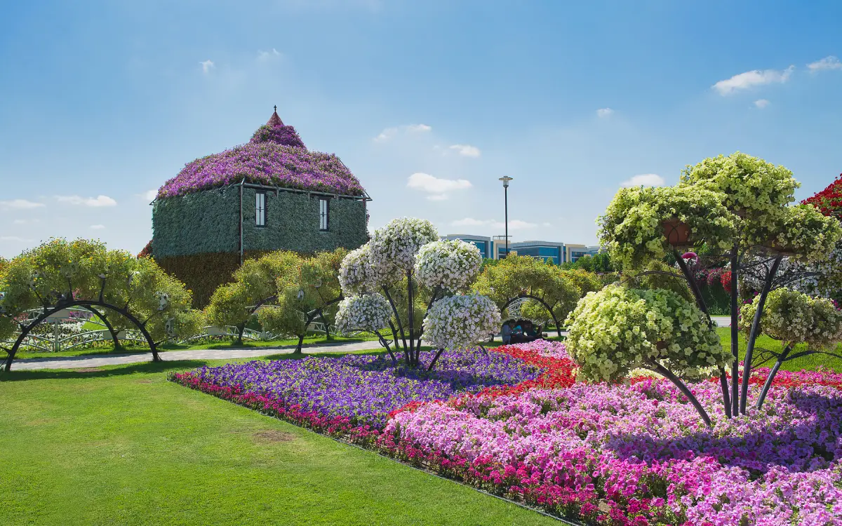 Miracle Garden Dubai - The Dubai Nomad