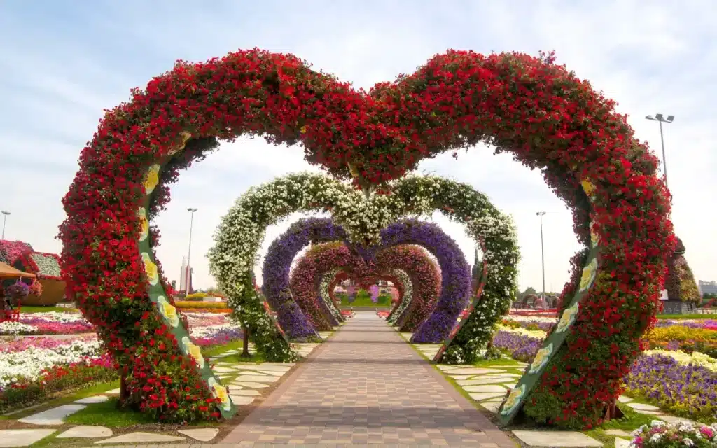 Miracle Garden Dubai - The Dubai Nomad
